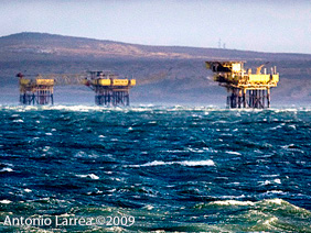 amenazas contaminantes bahía lomas