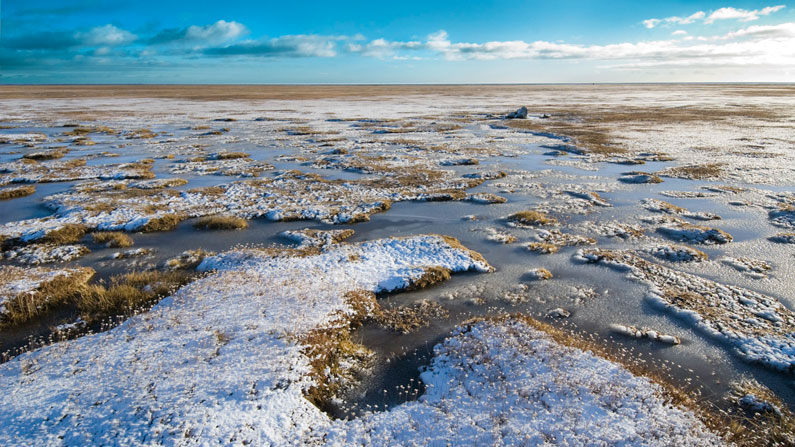 Parámetros físico-químicos y biológicos de la columna de agua y sedimentos bentónicos en Bahía Lomas, Tierra del Fuego, Chile