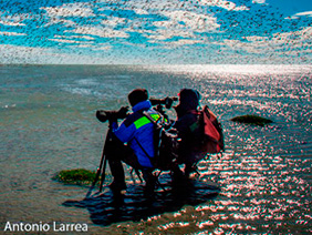 gestión investigación- bahia lomas