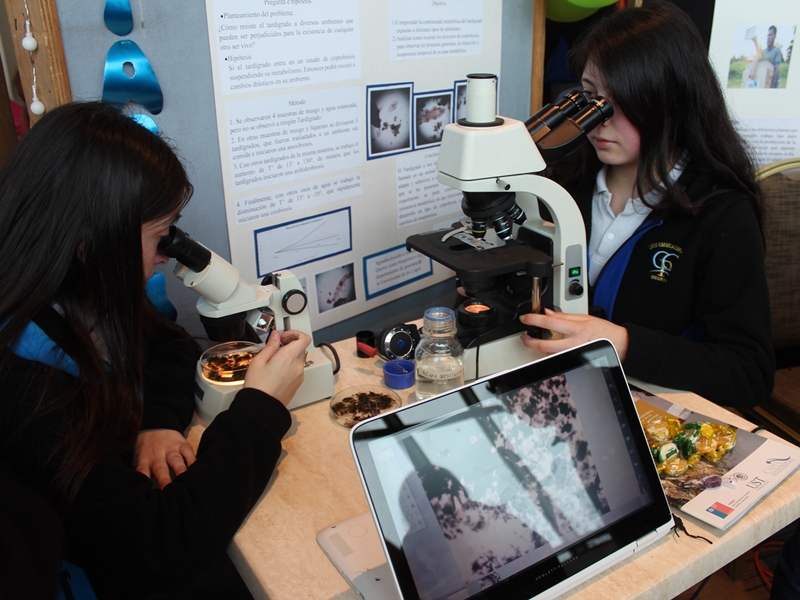 Gran convocatoria marcó 7° versión de la Feria de la Ciencia y la Tecnología en Osorno