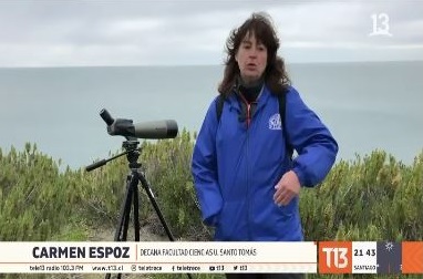 Humedales chilenos en peligro: Caso de conservación de Bahía Lomas en Tierra del Fuego